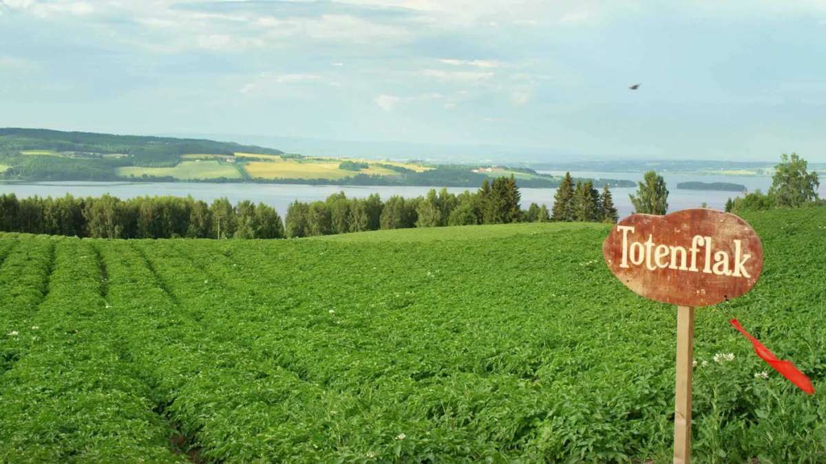 Et skilt av Totenflak sin logo som står foran en potetåker